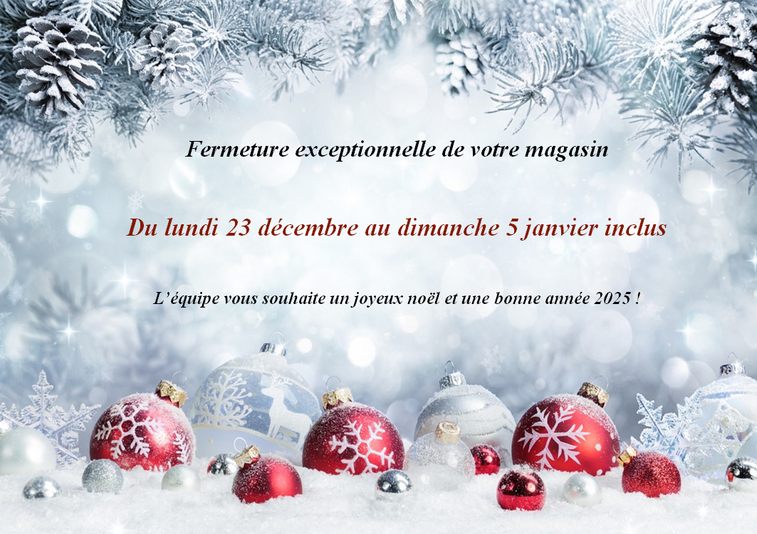 FERMETURE NOEL 2025